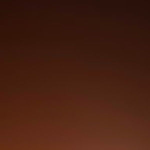 Meet your Posher, Megans